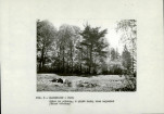 EP - Ewidencja parkowa, skan nr 14