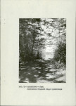 EP - Ewidencja parkowa, skan nr 18