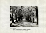 EP - Ewidencja parkowa, skan nr 9