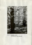 EP - Ewidencja parkowa, skan nr 12