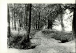 Ewidencja parkowa, skan nr 26