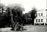 Ewidencja parkowa, skan nr 21