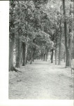 Ewidencja parkowa, skan nr 22
