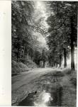 Ewidencja parkowa, skan nr 20