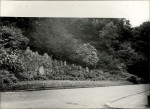 Ewidencja parkowa, skan nr 22