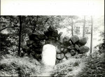 Ewidencja parkowa, skan nr 24