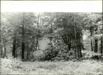 Ewidencja parkowa, skan nr 28