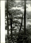 Ewidencja parkowa, skan nr 30