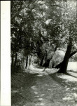 Ewidencja parkowa, skan nr 23