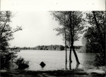 Ewidencja parkowa, skan nr 25