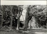 Ewidencja parkowa, skan nr 19