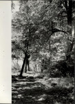 Ewidencja parkowa, skan nr 29