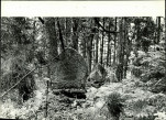 Ewidencja parkowa, skan nr 20