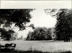 Ewidencja parkowa, skan nr 28