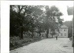 Ewidencja parkowa, skan nr 16