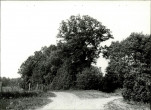 Ewidencja parkowa, skan nr 25
