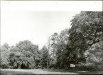 Ewidencja parkowa, skan nr 21