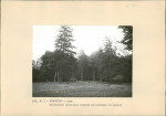 Ewidencja parkowa, skan nr 22