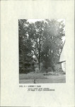 Ewidencja parkowa, skan nr 12