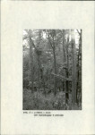 Ewidencja parkowa, skan nr 15