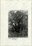 Ewidencja parkowa, skan nr 11