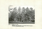 EP - Ewidencja parkowa, skan nr 14
