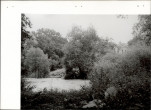 EP - Ewidencja parkowa, skan nr 25