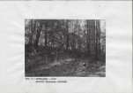 EP - Ewidencja parkowa, skan nr 13