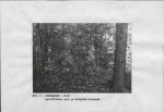 EP - Ewidencja parkowa, skan nr 14
