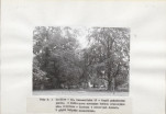 Ewidencja parkowa, skan nr 14