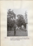 EP - Ewidencja parkowa, skan nr 17