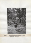 Ewidencja parkowa, skan nr 22