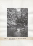 Ewidencja parkowa, skan nr 23