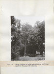 Ewidencja parkowa, skan nr 24