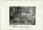 Ewidencja parkowa, skan nr 10