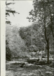 Ewidencja parkowa, skan nr 29