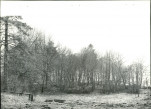 Ewidencja parkowa, skan nr 20