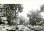 Ewidencja parkowa, skan nr 21