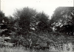 Ewidencja parkowa, skan nr 23