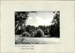 Ewidencja parkowa, skan nr 16