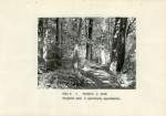 Ewidencja parkowa, skan nr 29