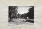 EP - Ewidencja parkowa, skan nr 16
