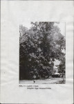 Ewidencja parkowa, skan nr 14