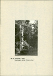 EP - Ewidencja parkowa, skan nr 21