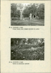 Ewidencja parkowa, skan nr 13
