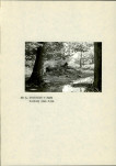 Ewidencja parkowa, skan nr 16