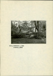 Ewidencja parkowa, skan nr 19