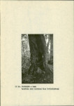 Ewidencja parkowa, skan nr 20