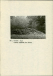 Ewidencja parkowa, skan nr 13
