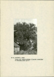 Ewidencja parkowa, skan nr 16